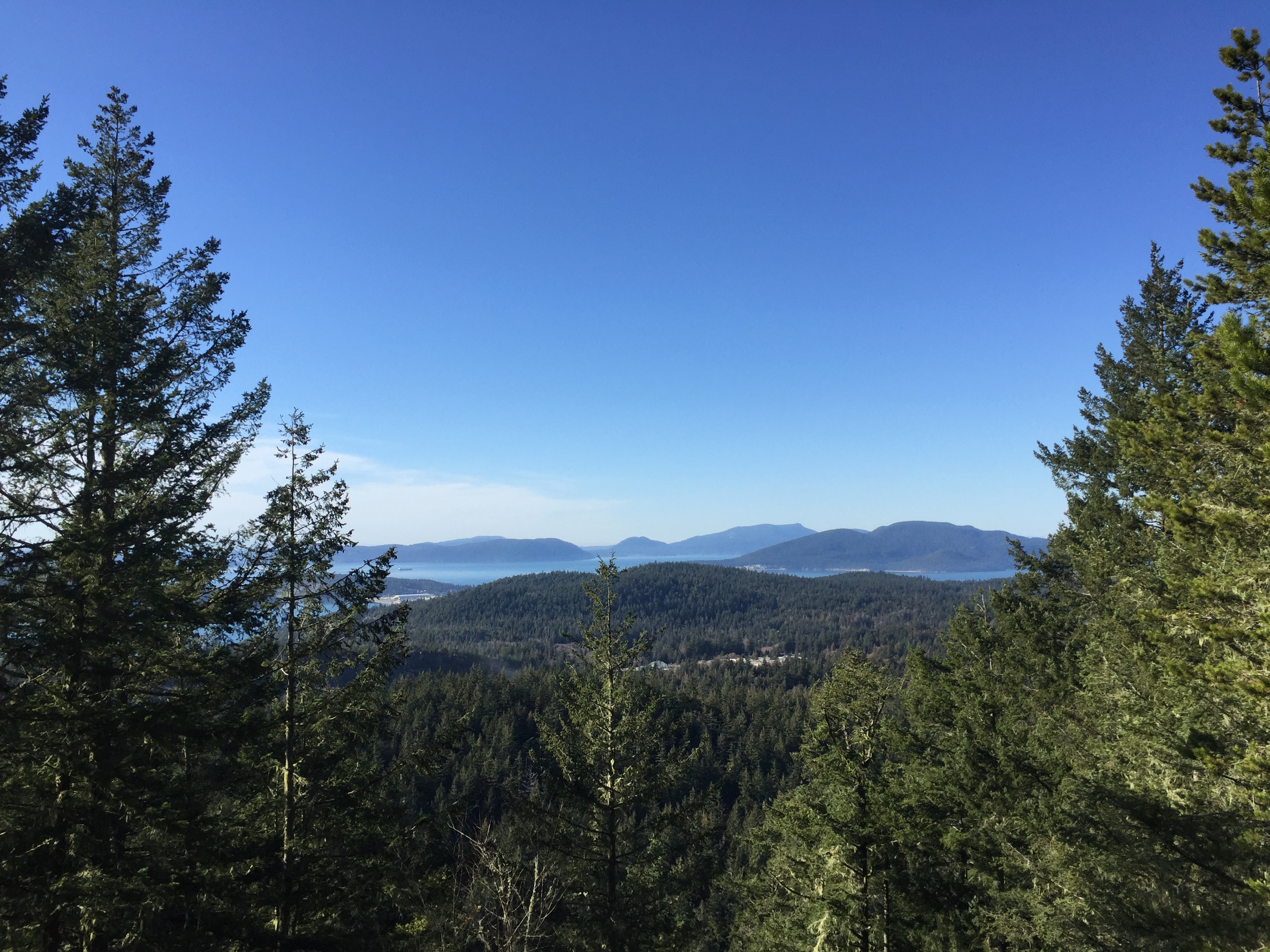 Burrows Bay from Sugarloaf Trail in Anacortes