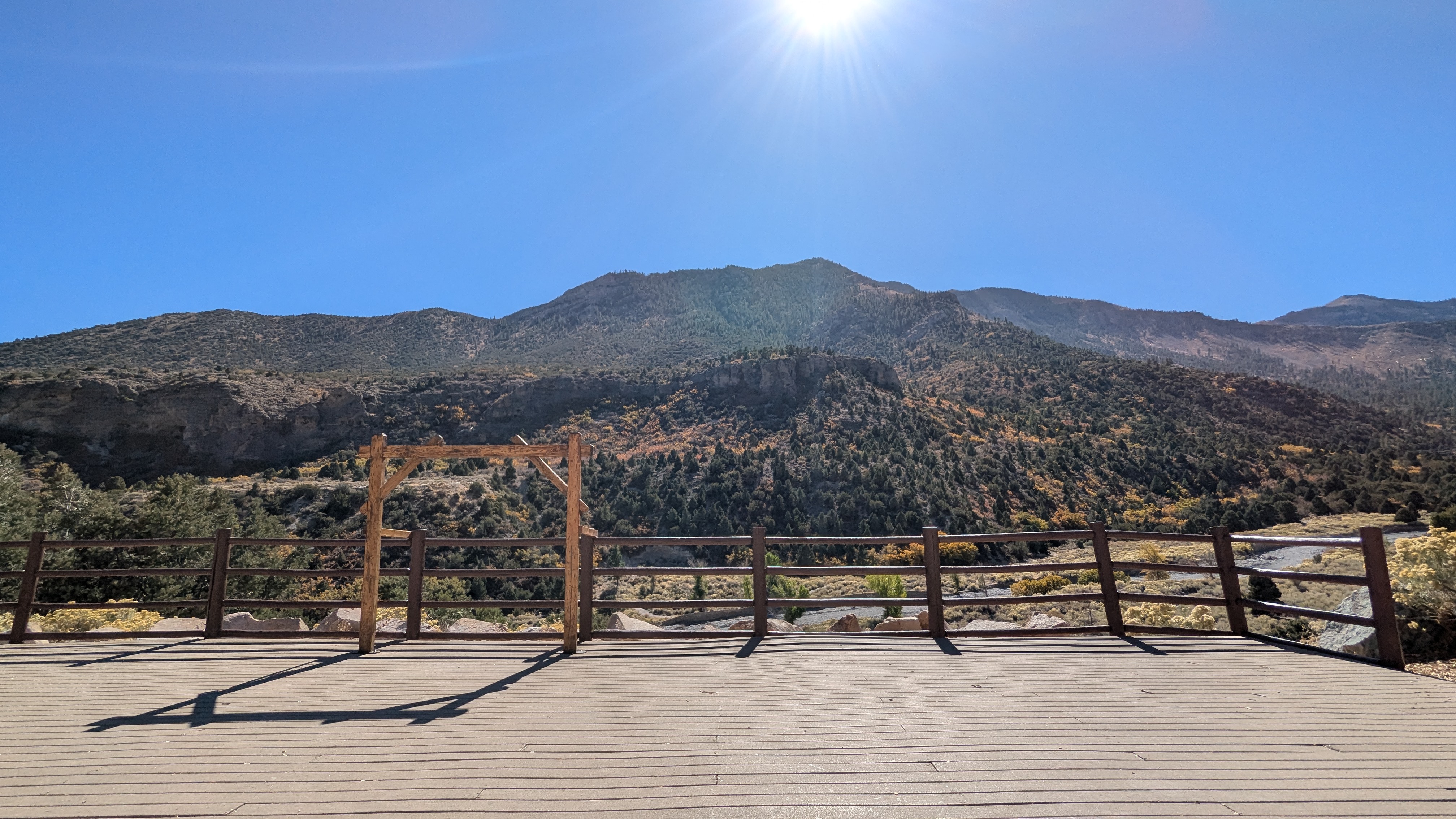 unidentified view on Mt. Charleston